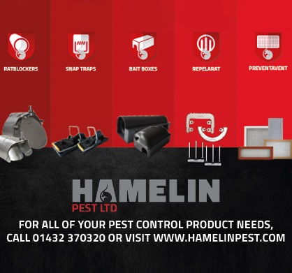 hamelin